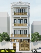 Mẫu thiết kế nhà ở tân cổ điển 4 tầng 6x16m có tầng hầm & thang máy và 4 phòng ngủ ở Bình Tân