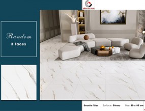 Gạch Lát Nền 80x80: Lựa Chọn Hoàn Hảo Cho Mọi Không Gian